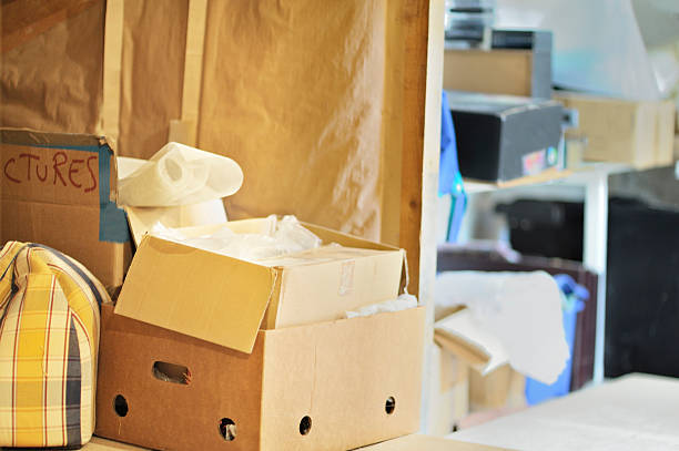Best Hoarding Cleanup  in Caledonia, MI